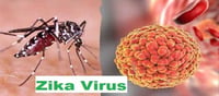 వేగంగా విస్త‌రిస్తున్న జికా వైర‌స్‌